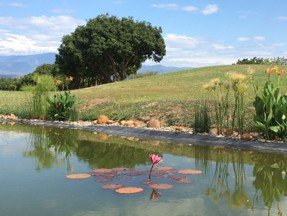 Construcción de lago campo de Golf CCN